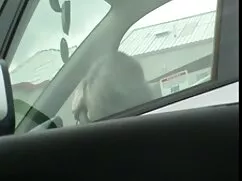 Pornó videók Pornósz ...