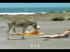Pornó videó semale k ...