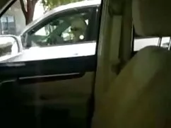 Videó pornó olivia w ...