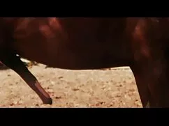 Pornó apa lanya porn ...